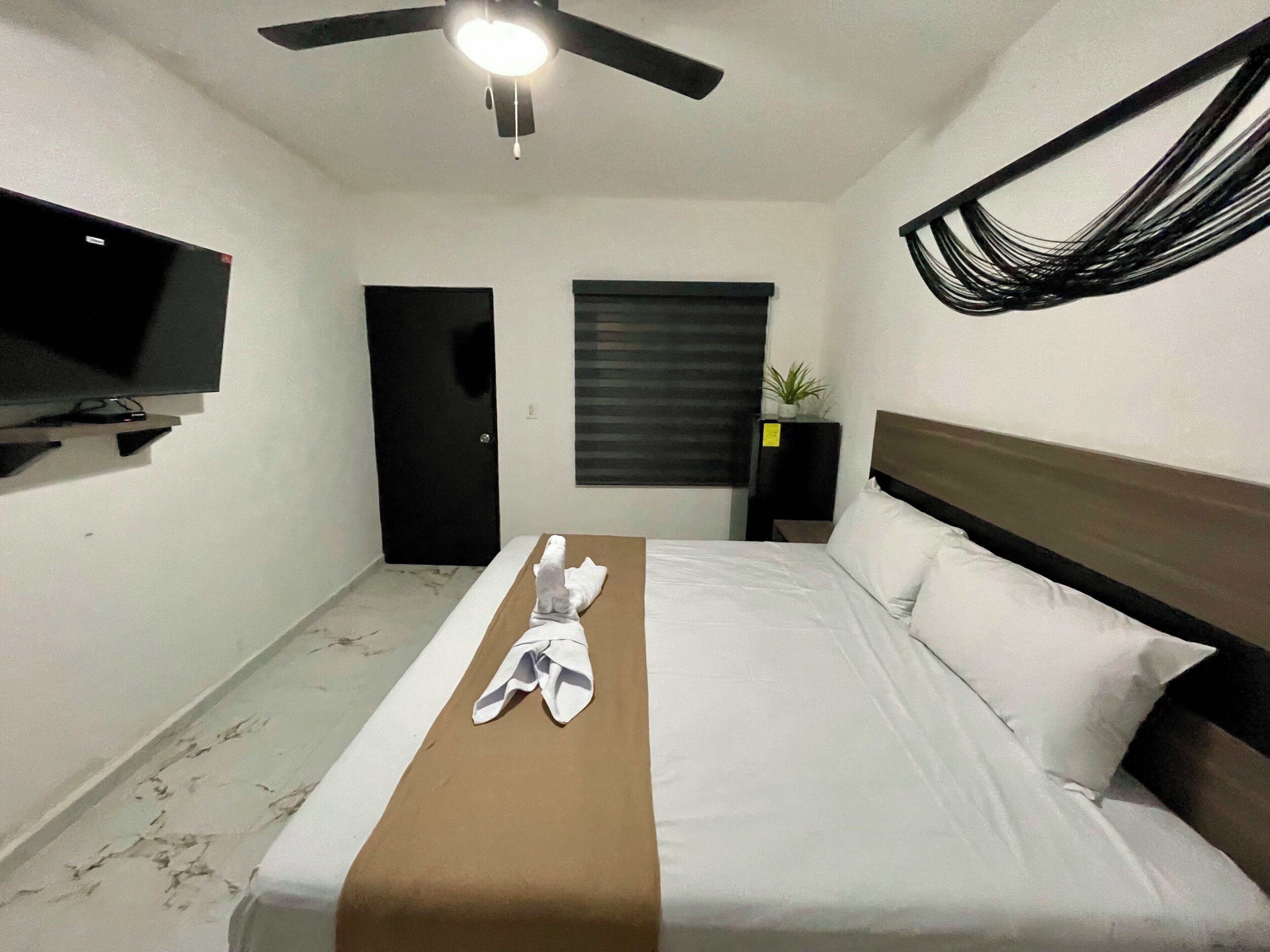 Una habitación de hotel con una cama, un televisor sobre un mueble, un ventilador de techo, una puerta, una ventana con persianas y una planta pequeña en una mesita de noche.