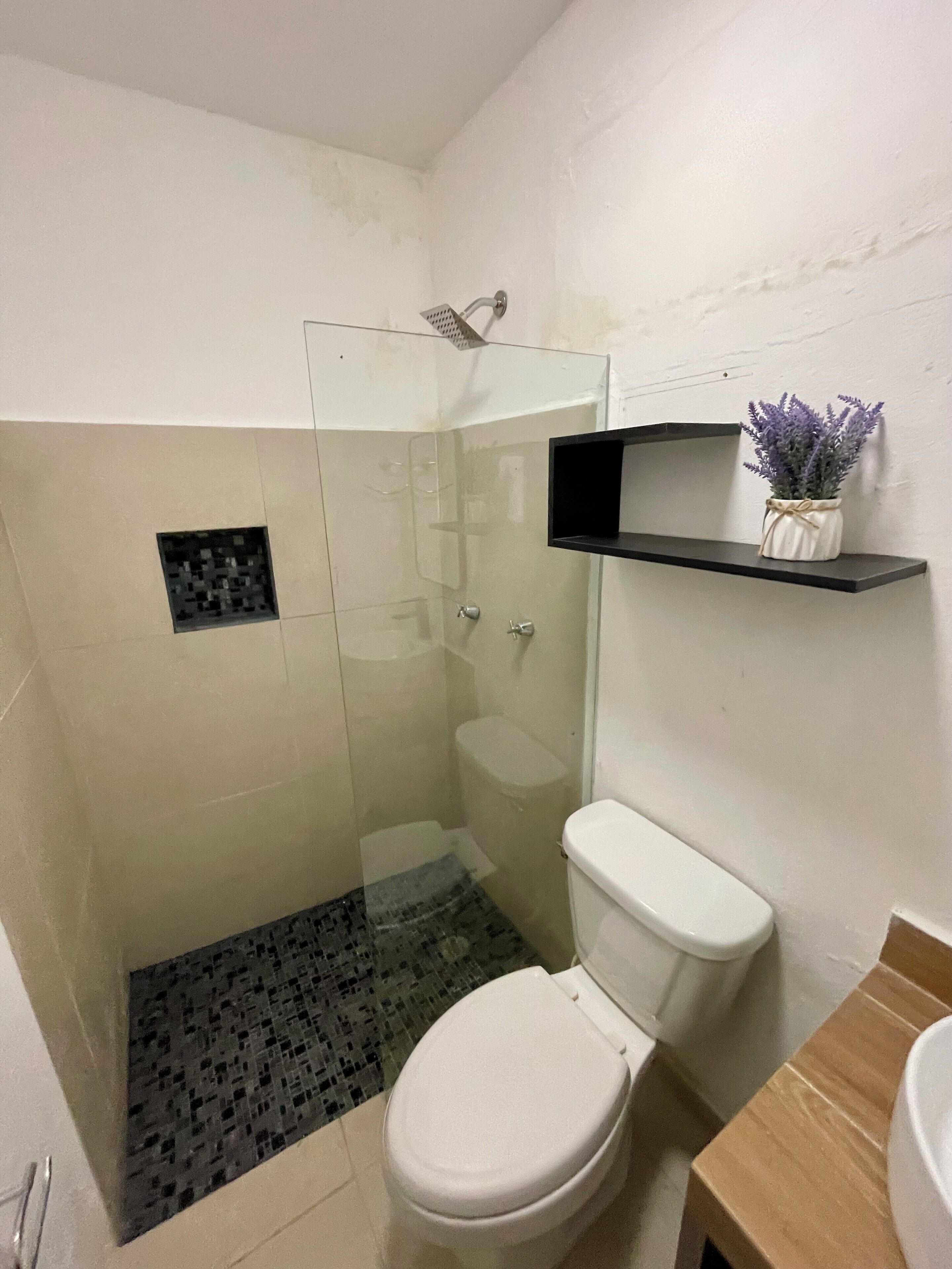 A bathroom with a glass-enclosed shower, a white toilet, a black and white tiled floor, and a small shelf with a potted plant.