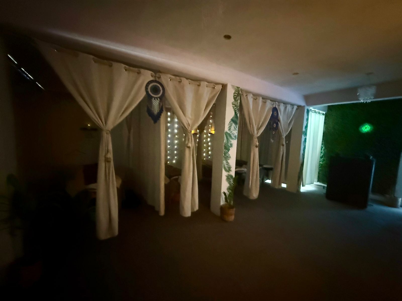 A dimly lit room with curtains, a small plant, and a green wall.
