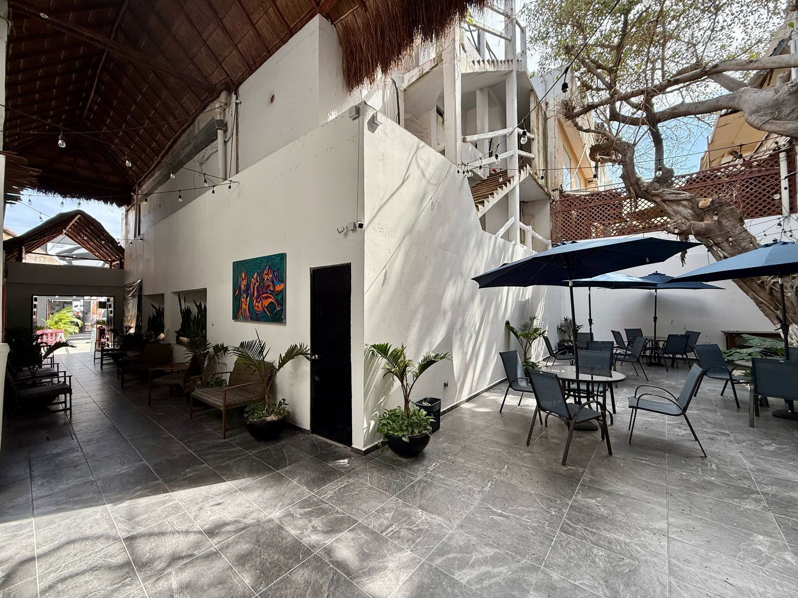 Foto - CASA TORTUGA 5Th. Ave