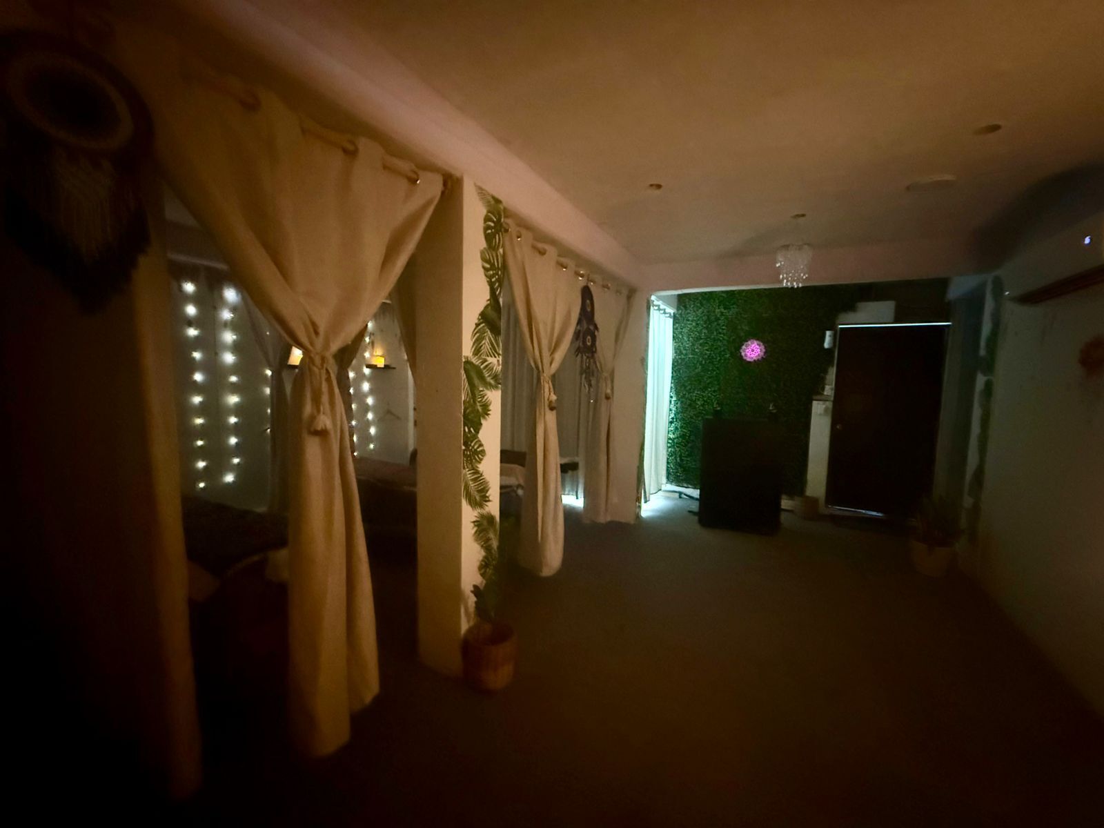 Un pasillo tenuemente iluminado con cortinas, una pared verde con una planta y una puerta al final.