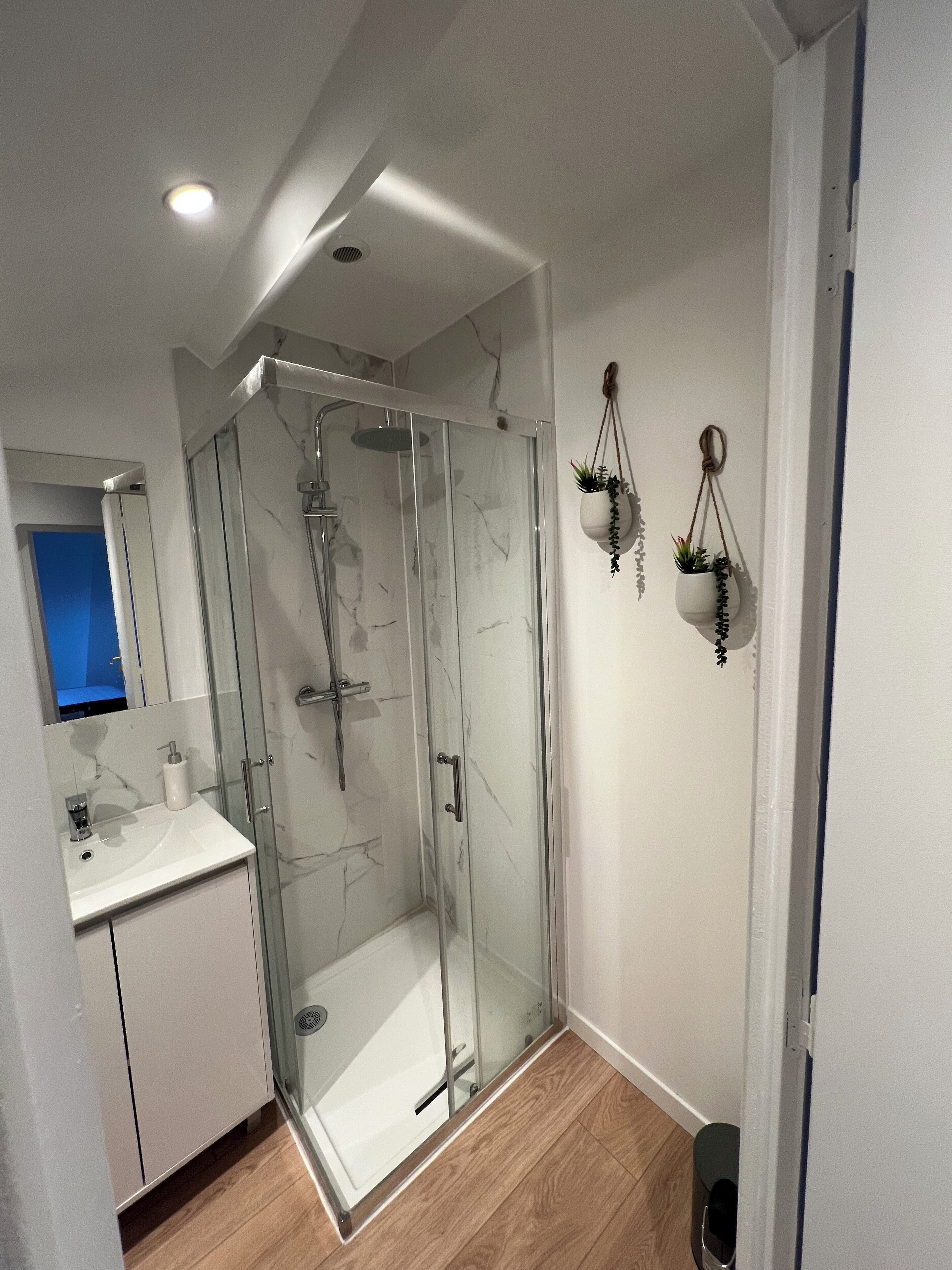 Ein modernes Badezimmer mit einer Duschkabine, einem weißen Waschbecken und zwei hängenden Pflanzen.