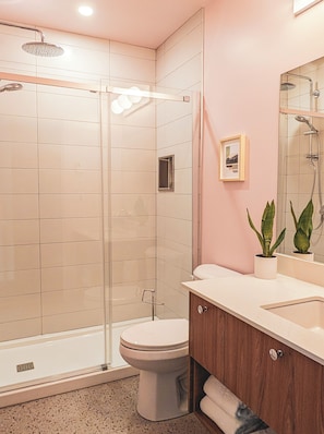 Hair dryer, towels, soap, shampoo