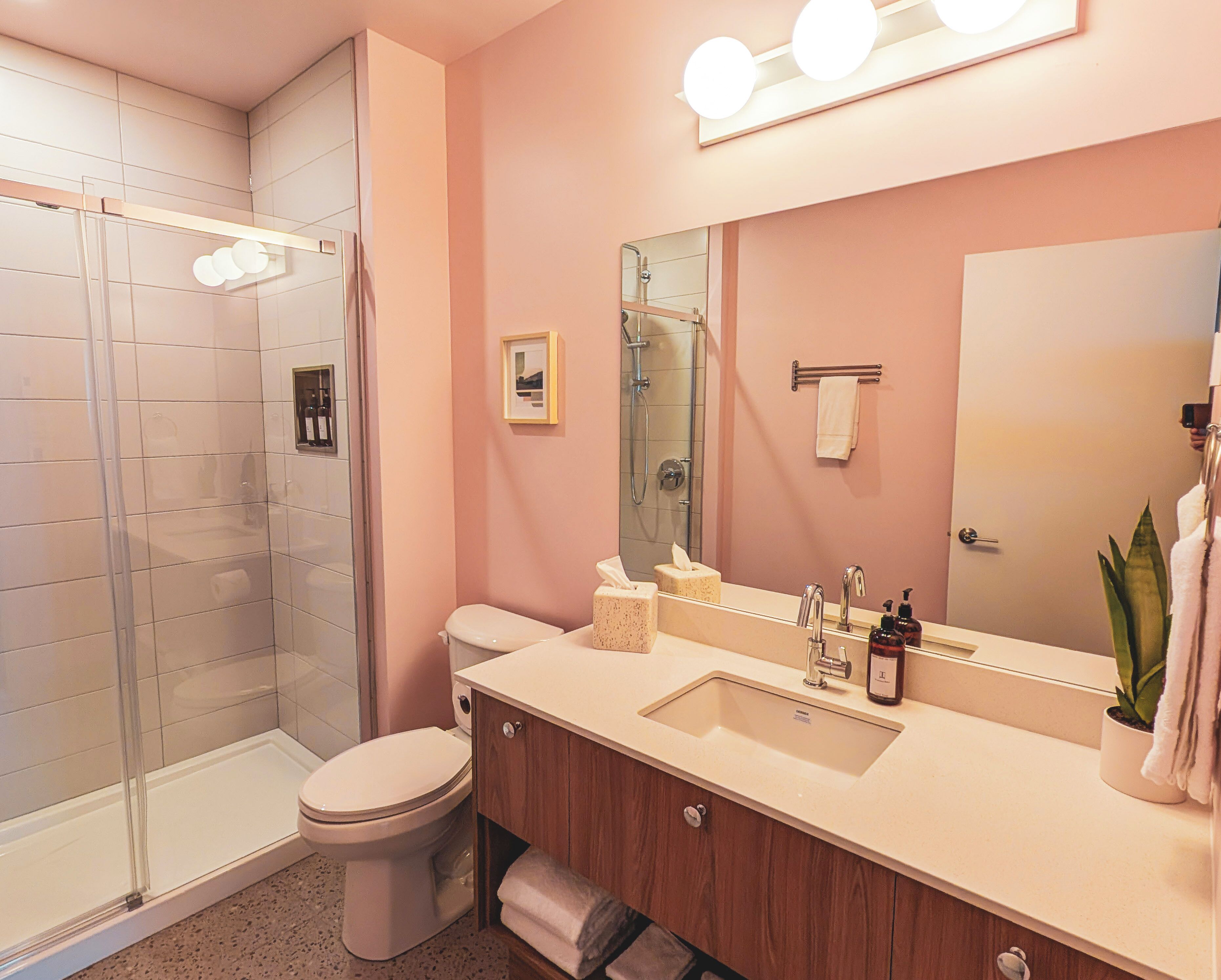 A bathroom with a glass shower enclosure, a toilet, a sink with a mirror, and a potted plant.