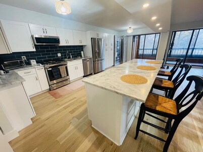 Charming Cozy Modern 2-Bedroom condo