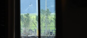 锦瑟在野院民宿酒店