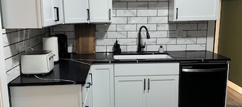 Charming Modern Home In Downtown Indianapolis