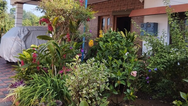 Een overdekte buitenruimte met verschillende planten en bloemen in potten.