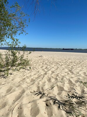 Une plage de sable avec une végétation clairsemée et un ciel bleu dégagé.