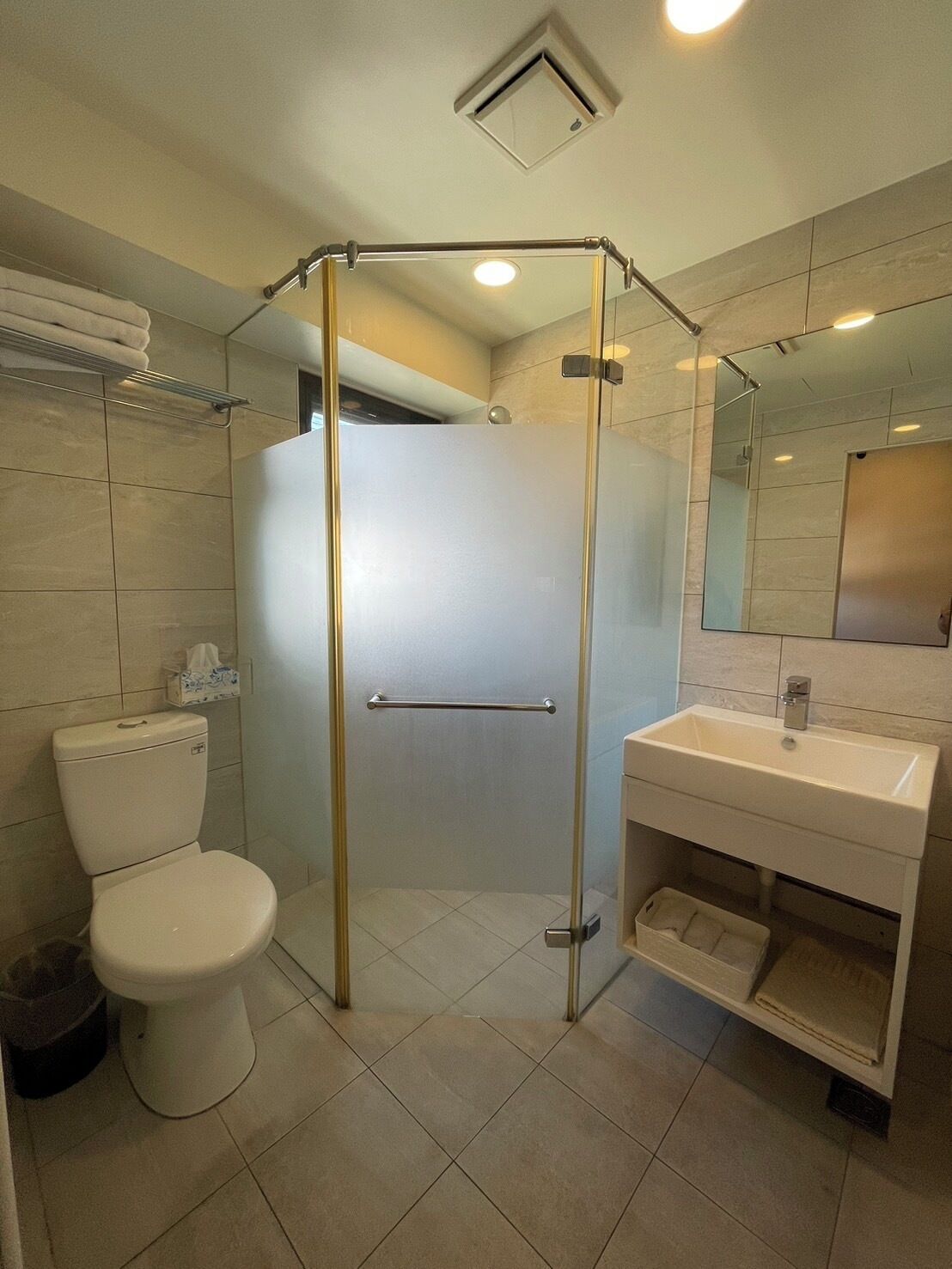 A modern bathroom with a glass-enclosed shower, a toilet, and a sink with a mirror.