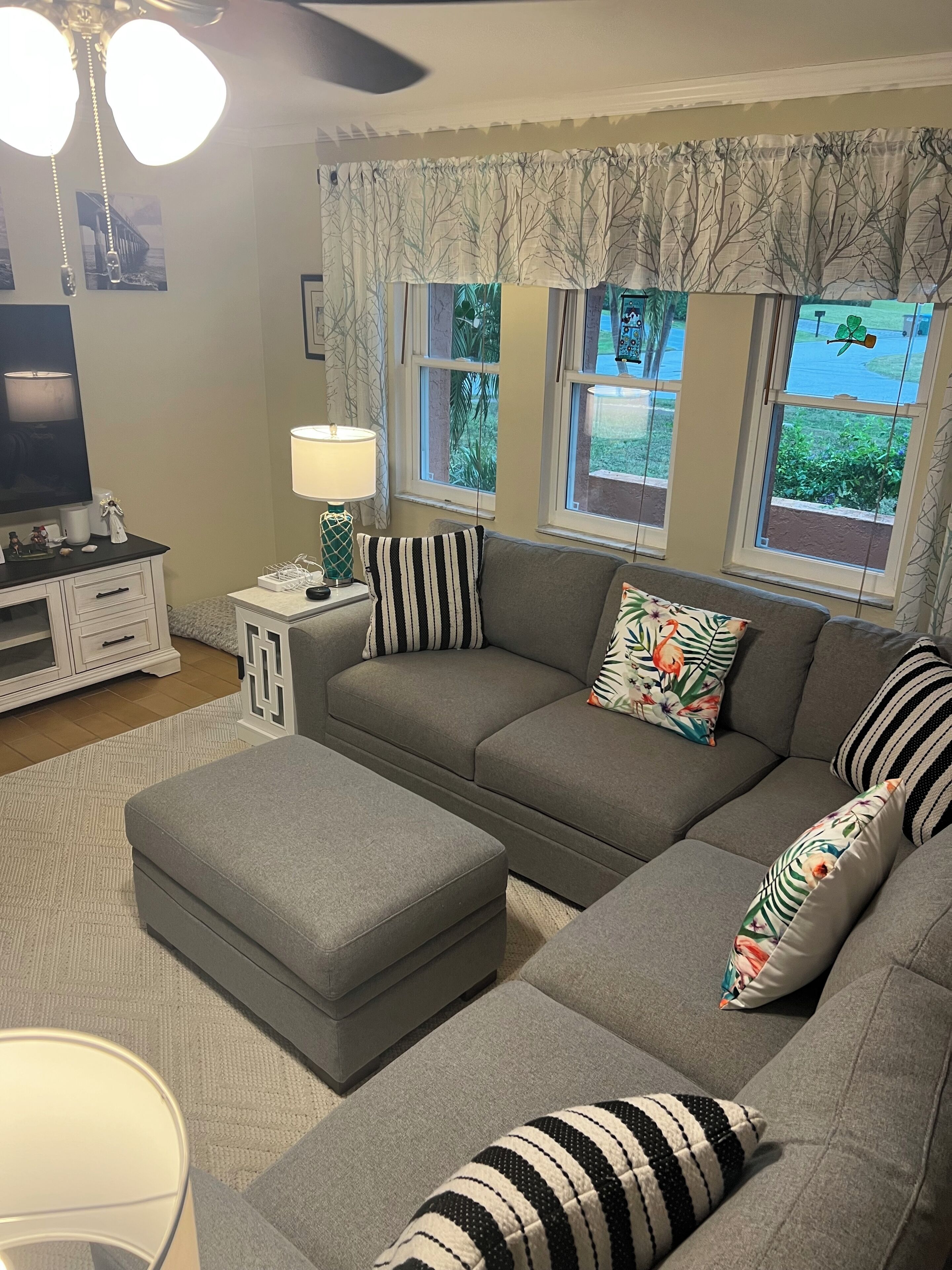 Smart TV, DVD player, books, video library