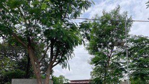 A gated entrance with a sign reading "R.S. Farms" and a logo, surrounded by trees and a concrete wall. - RS Farms (Bhiwandi)