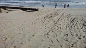 View from property - Bungalow for 6 People, Near the Beach (Sint Maartensvlotbrug)