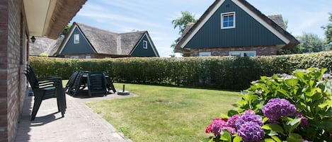 House | Property grounds