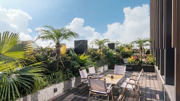 Terraza o patio