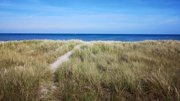 Ein klarer Weg zum Meer, mit einer grünen Wiese im Vordergrund und ruhiger See unter blauem Himmel.