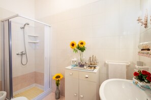 Shower, hair dryer, towels