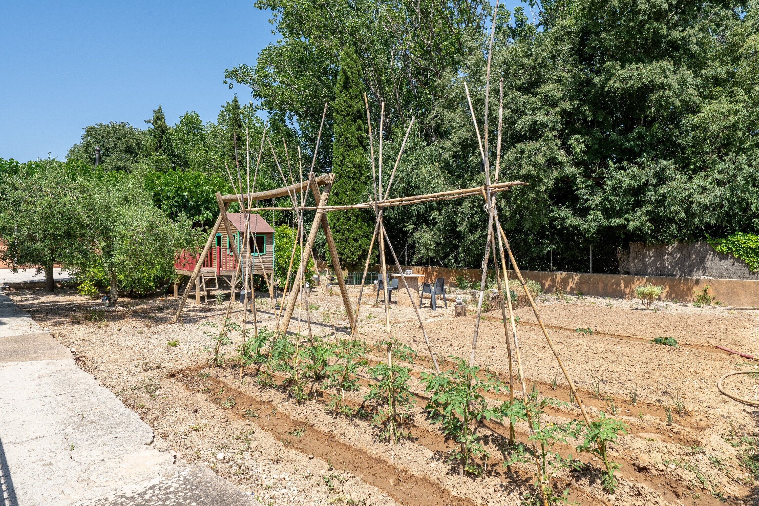 Un jardin avec des plates-bandes surélevées, une structure en bois et un chemin pavé.
