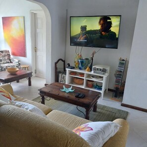 TV
