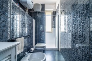 Chuveiro, secador de cabelo, toalhas de banho 