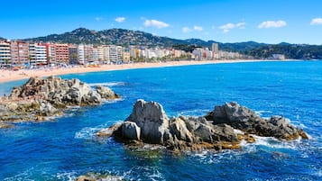 Apartamento | 2 dormitorios