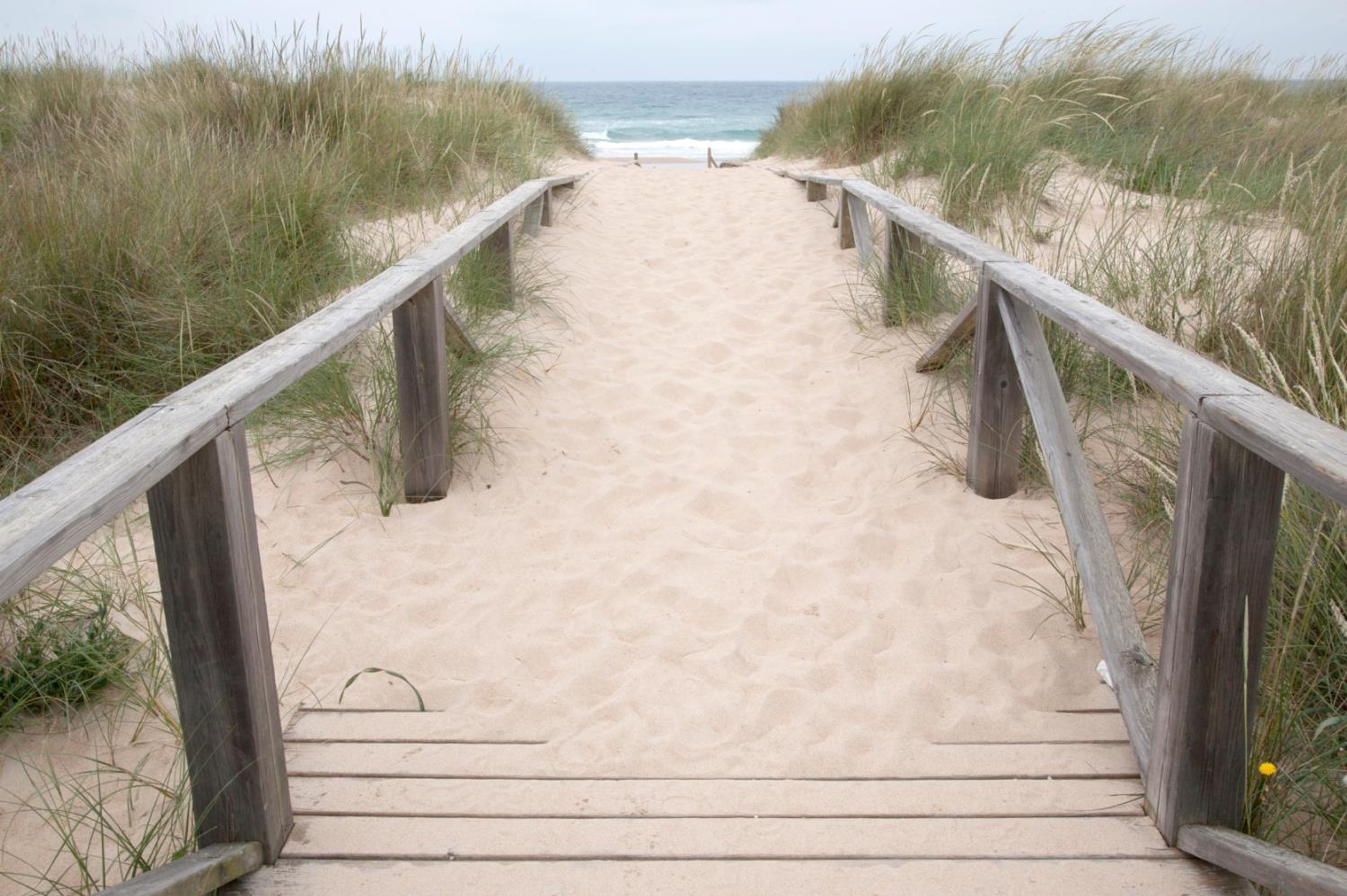 A wooden boardwalk leading to a sandy beach with grass on either side.