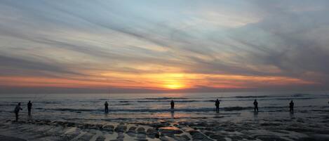 Appartement | 1 chambre