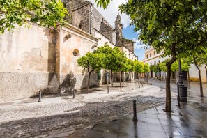 A cobblestone street lined with trees and historic buildings. - La Ronda C diz in Jerez de la Frontera (Jerez de la Frontera)