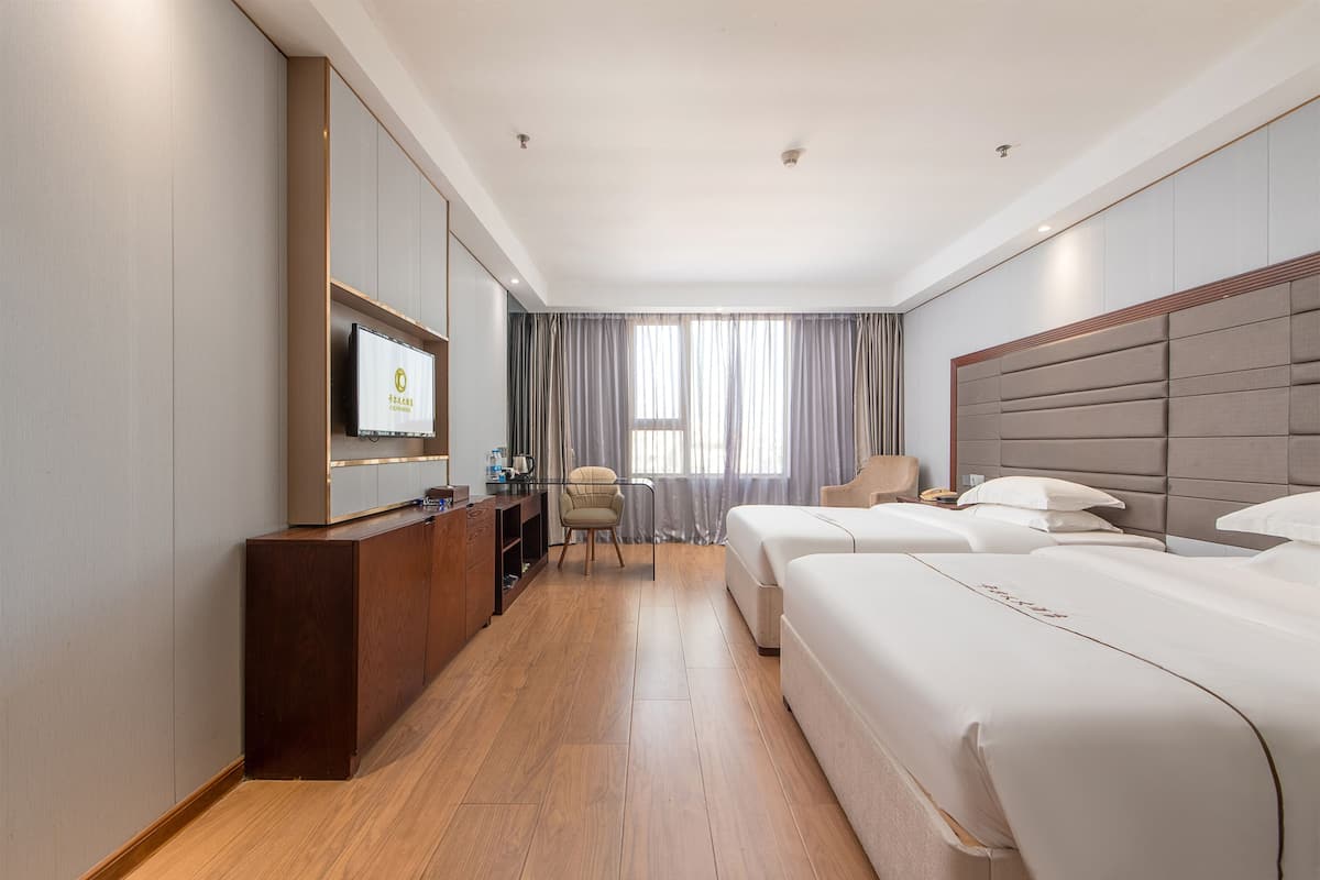 Superior Twin Room, City View | View from room