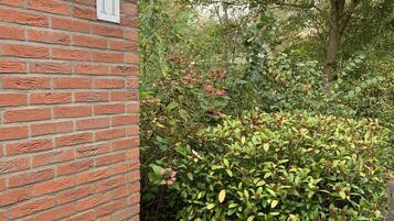 單棟房屋 | 花園