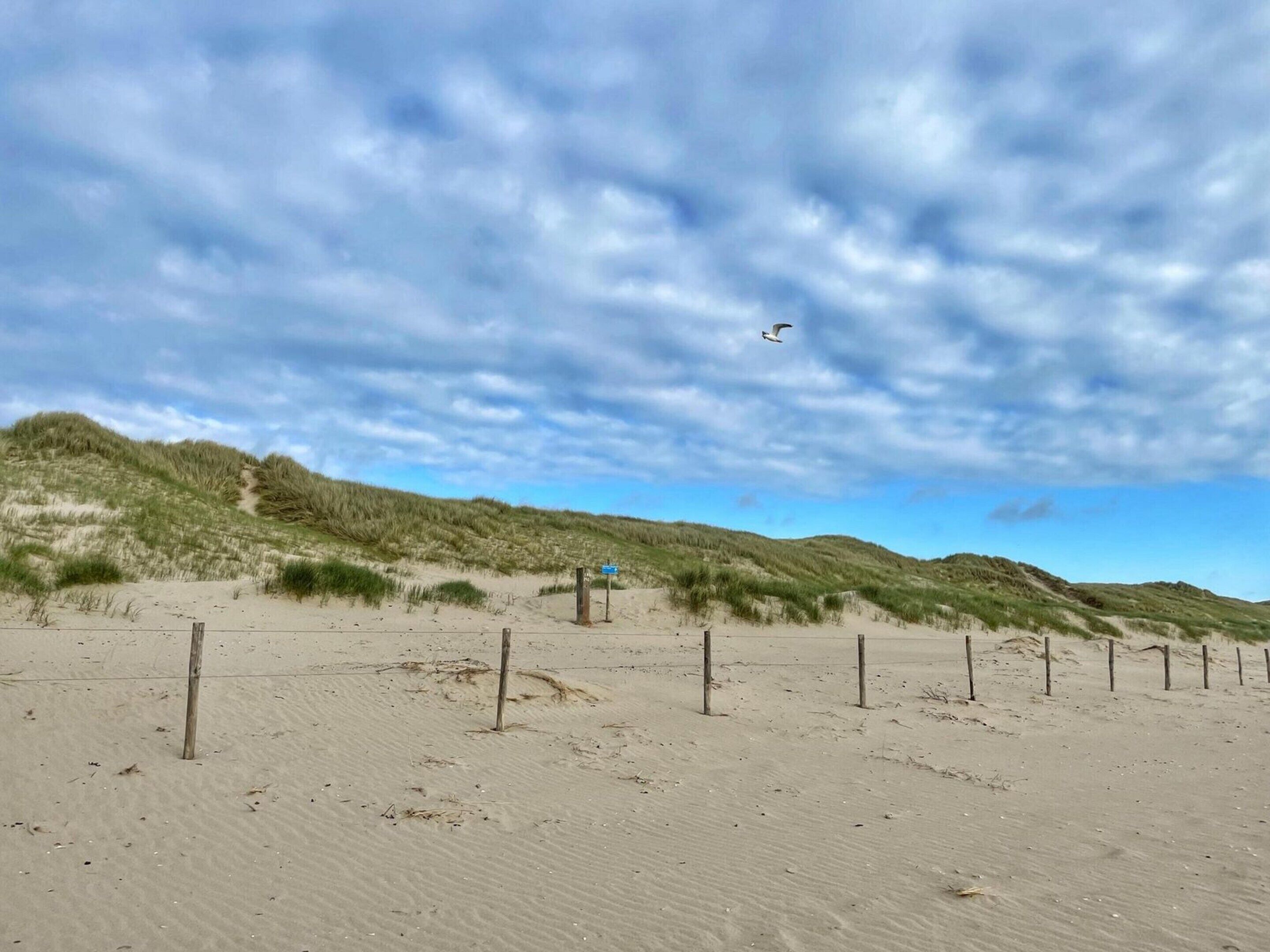 A sandy beach with dunes and a blue sky.