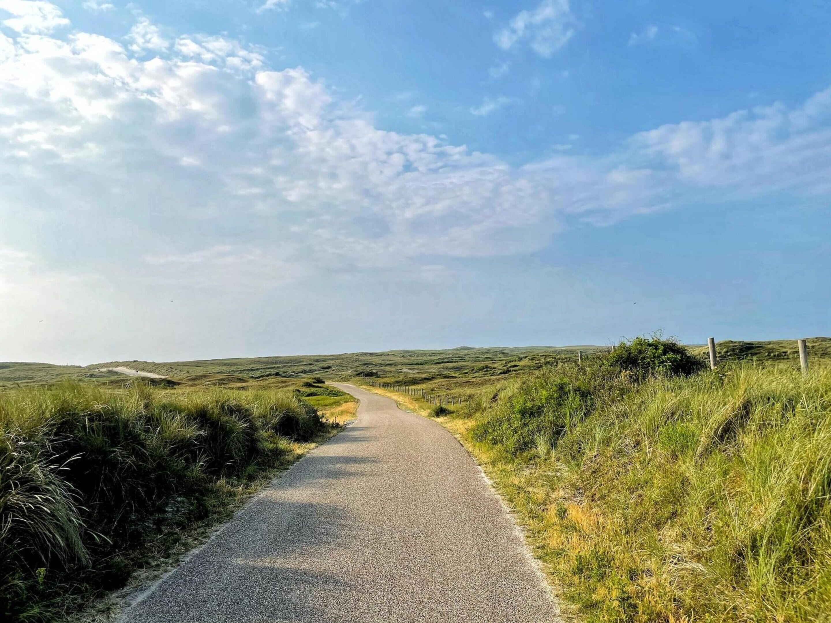 A rural road curving through a grassy landscape with a clear sky.