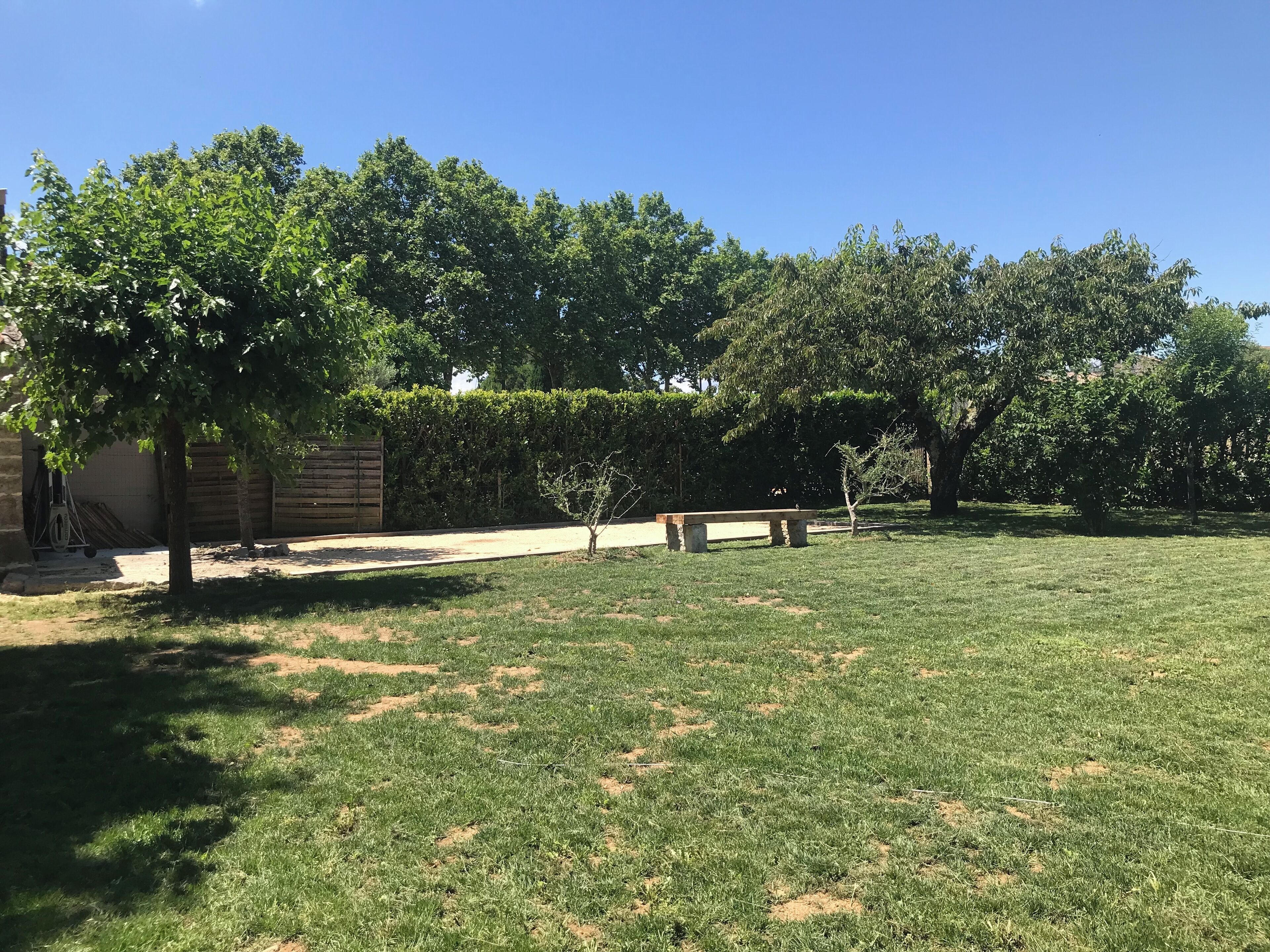 A grassy backyard with trees, a wooden fence, and a concrete bench.