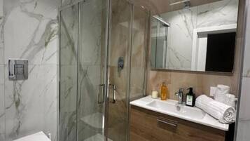 Shower, hair dryer, bidet, towels