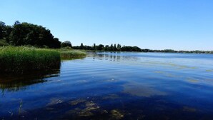 Une rivière paisible, bordée d’une rive herbeuse et avec des arbres en arrière-plan.