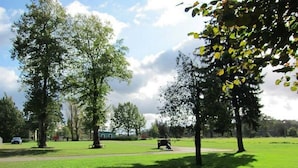 Un parc avec de l’herbe verte, des arbres et un banc.