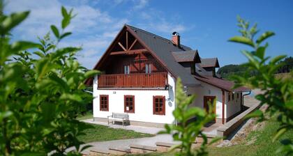 Villa in Pecka With Thermal Spring