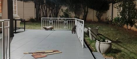 House, 3 Bedrooms, Accessible, Smoking | Terrace/patio