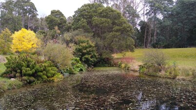 The Gardener's Cottage on Warrentinna