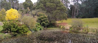 The Gardener's Cottage on Warrentinna