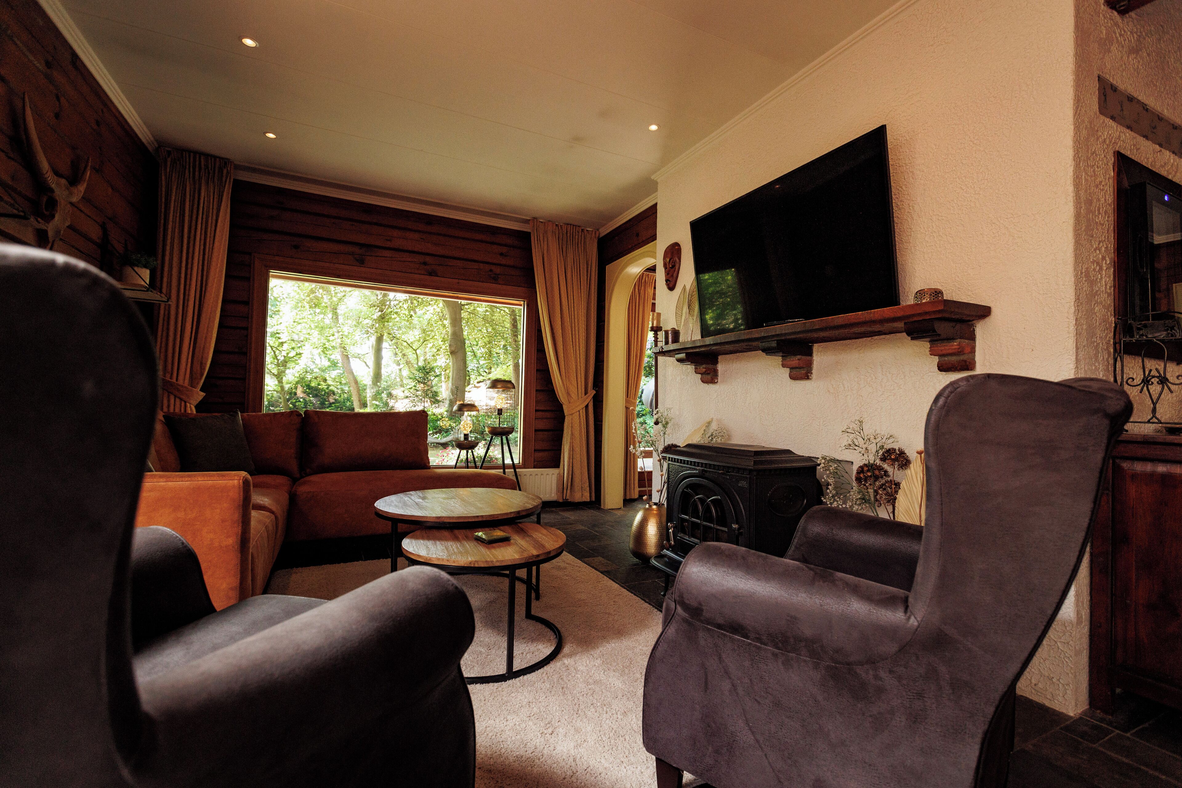 智能電視、壁爐、書籍、音響