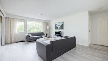 Smart-TV, Arbeitsbereiche