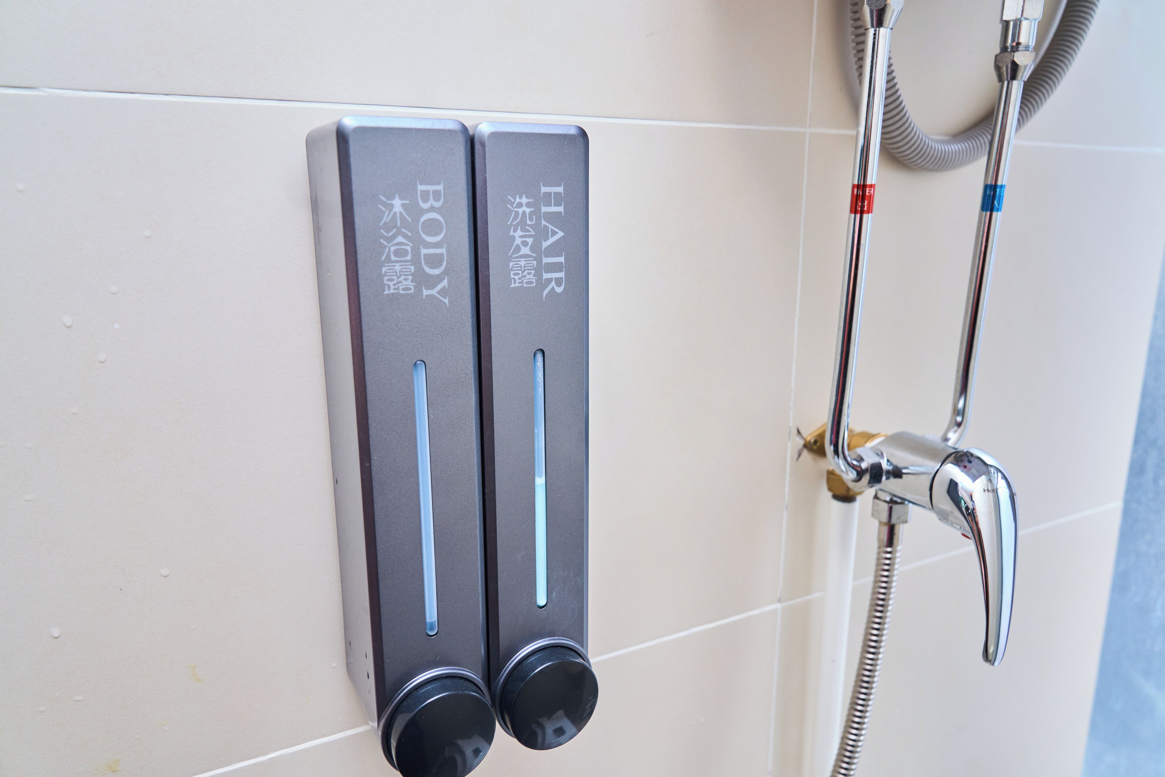 Ducha, secador de pelo, toallas y champú