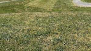 Een golfbaan met een vijver, bomen en een heldere lucht.