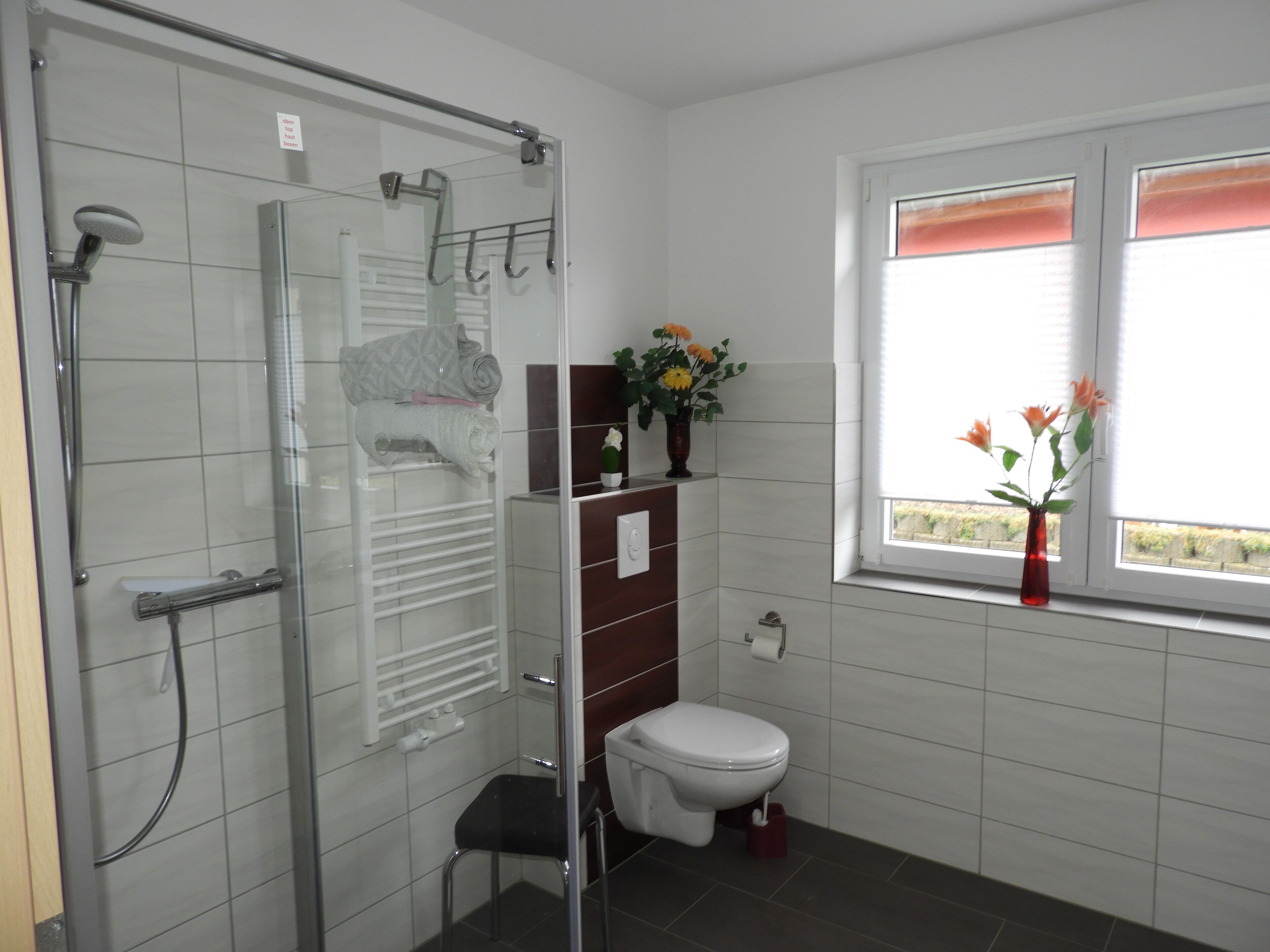 Een badkamer met een douchecabine van glas, een toilet, een klein wastafeltje en een raam met uitzicht.