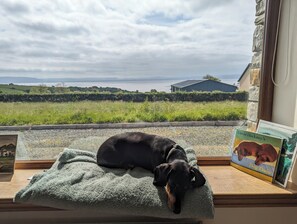 Interior - Cozy and Social Getaway for Couples, Solo Travelers, and Remote Workers (DL)