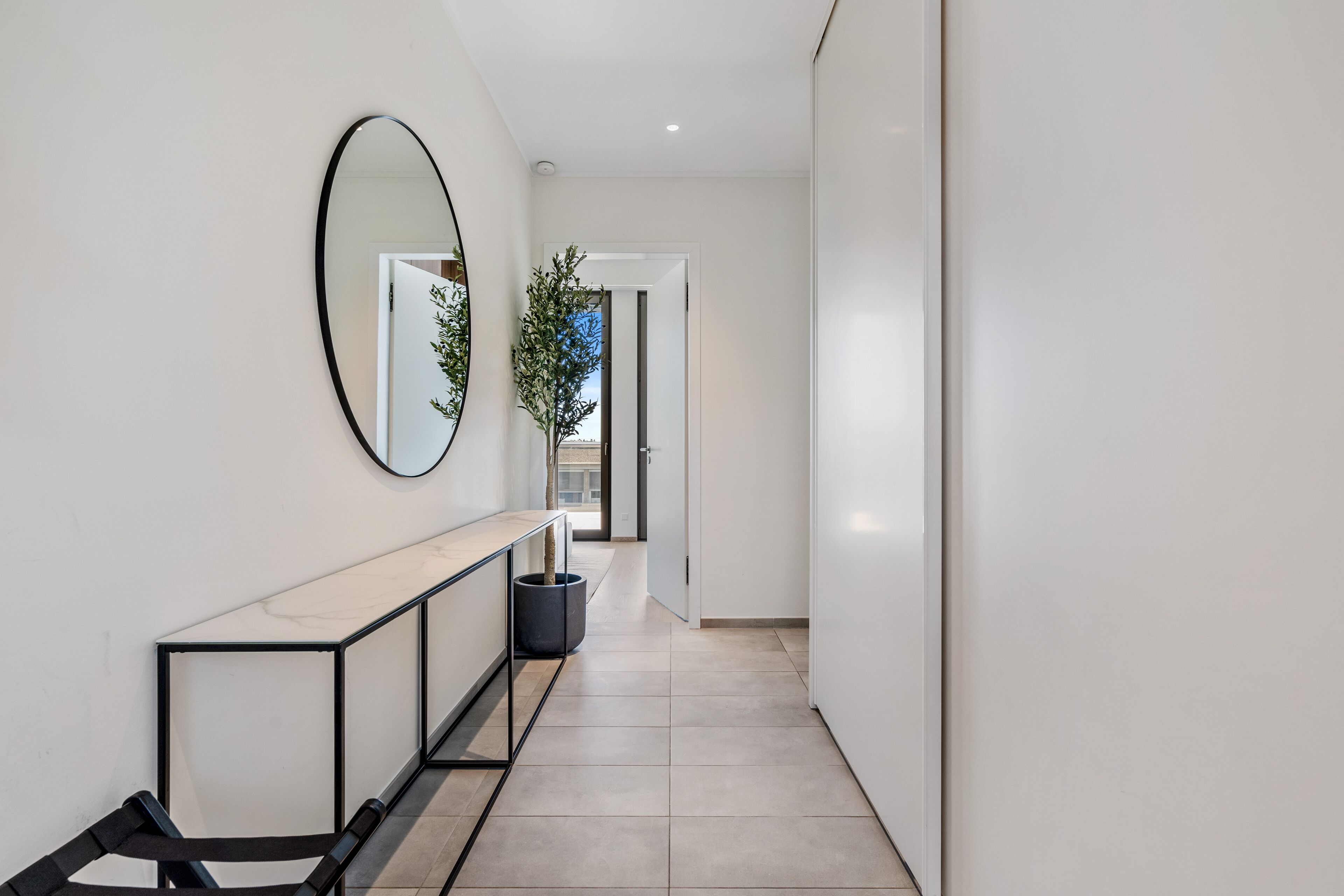 A hallway with a white console table, a mirror, and a potted plant.