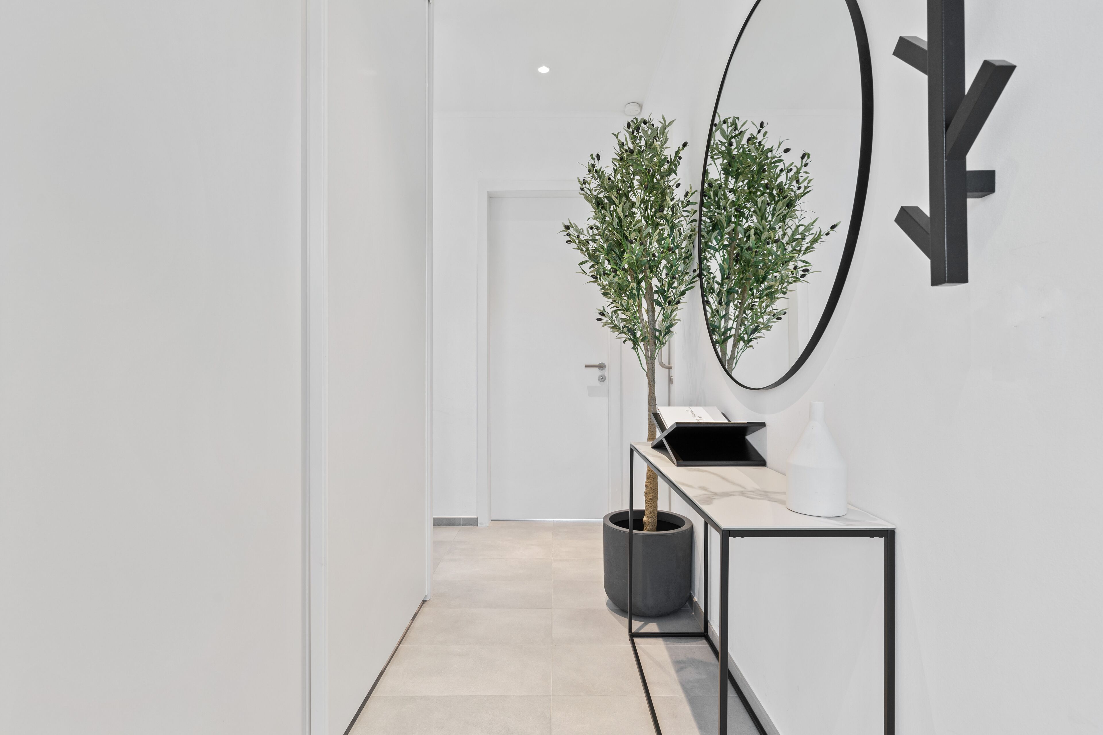 Un couloir moderne au design minimaliste, agrémenté d’une plante en pot, d’un vase blanc et d’un miroir à cadre noir posé sur une console.