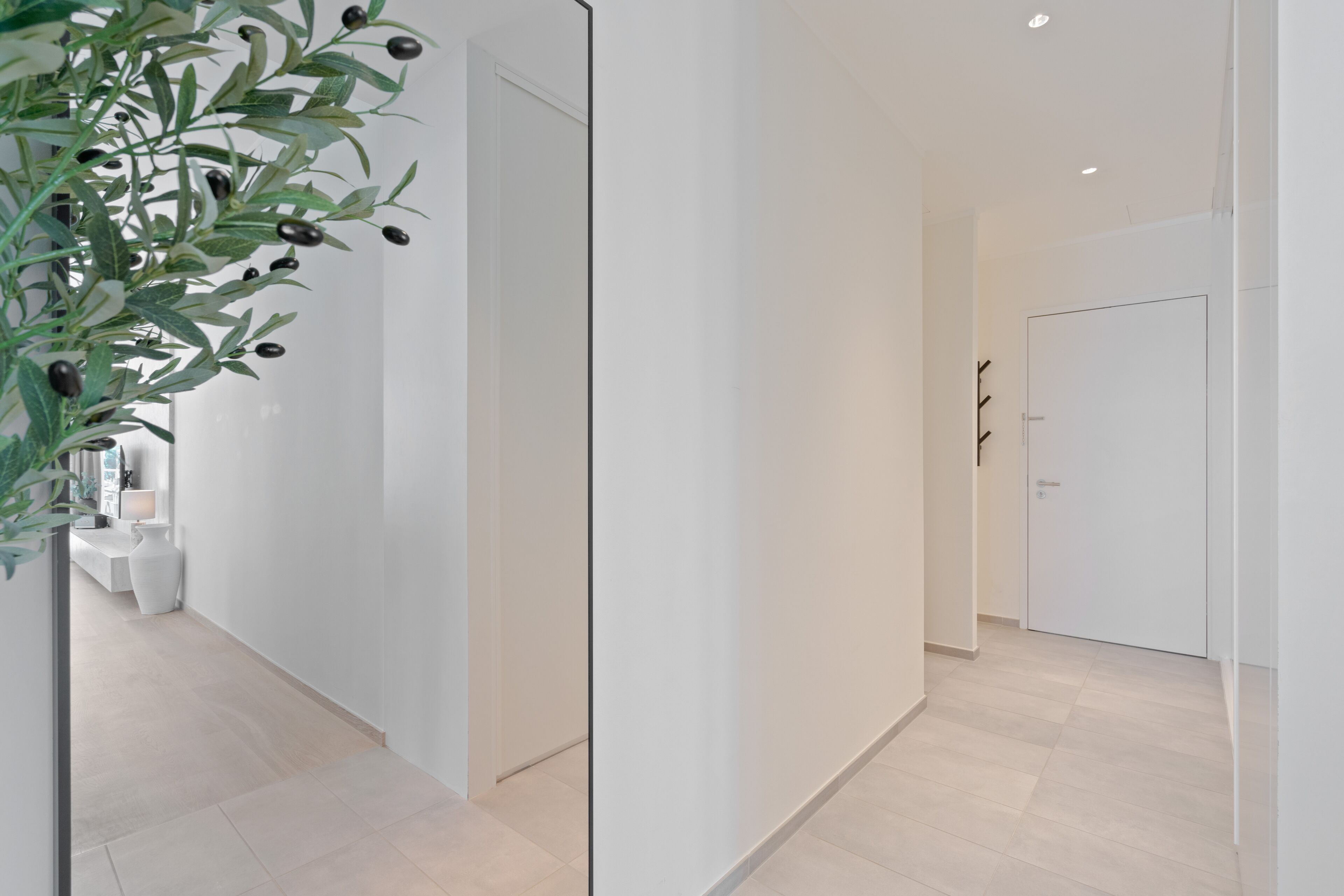 Un couloir moderne au design minimaliste, avec une porte blanche, une plante aux feuilles vertes et aux olives noires, et un banc blanc agrémenté d’un vase.