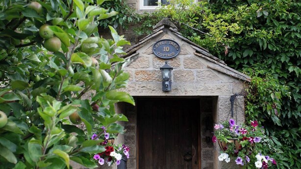 A stone cottage with a wooden door, a lantern above the door, and a sign reading "Apple Tree Cottage". - Beautiful characterful cottage,family and dog friendly,quiet,close to amenities  (Harrogate)